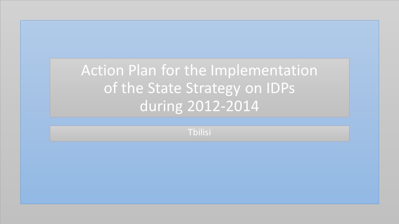 Action Plan for the Implementation of the State Strategy